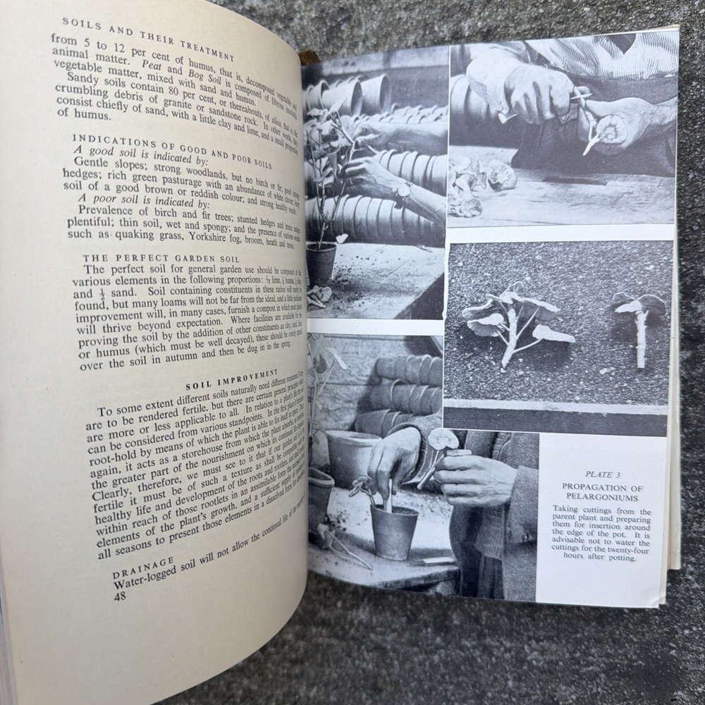 Everyday Gardening G.H. Preston 1957 OOP Rare Scarce Vintage Book England - Picture 7 of 8
